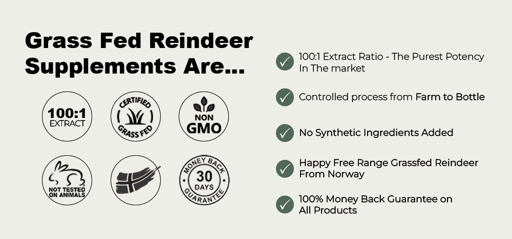 Reindeer Farms