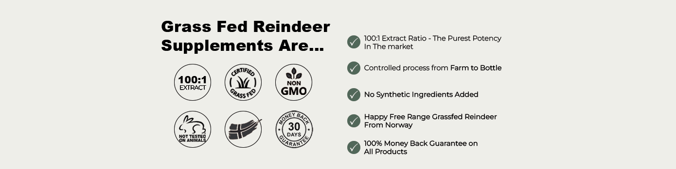 Reindeer Farms