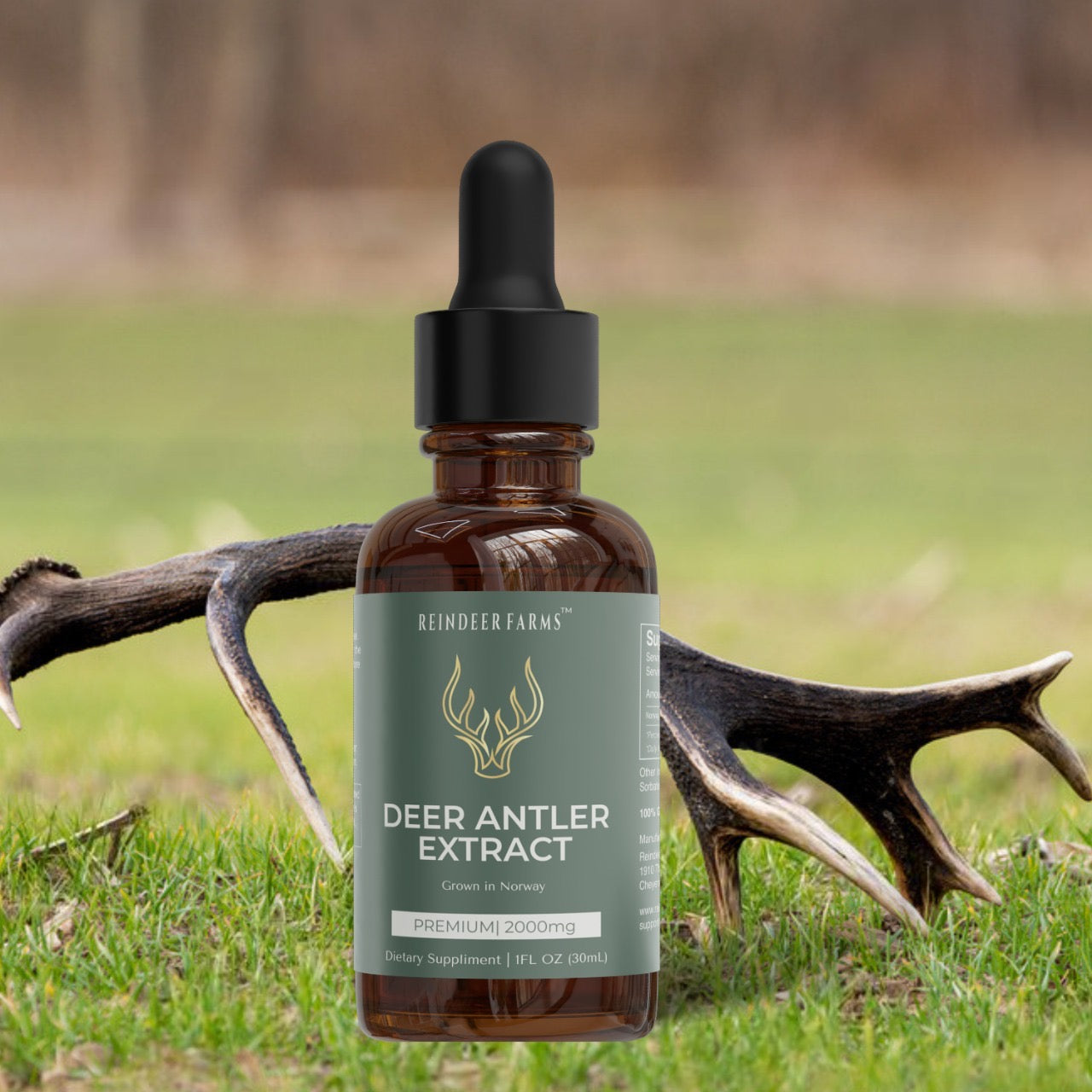 Premium Reindeer Antler Extract - Reindeer Farms Deer Antler Velvet Extract