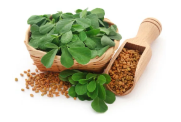 Fenugreek - Alpha buck - alpha male supplement