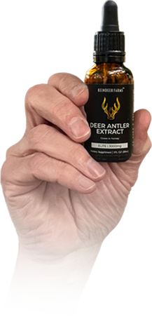 Hold Deer Antler Extract